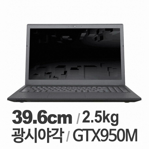 GIGABYTE 판타소스 P15F R5 Dual Lite (SSD 128GB + 1TB)