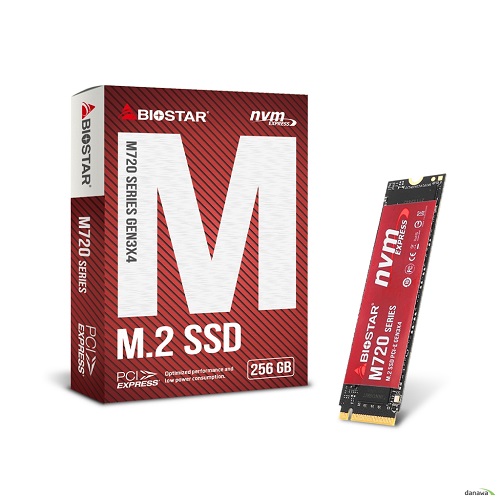 BIOSTAR M720 M.2 NVMe (256GB)_이미지