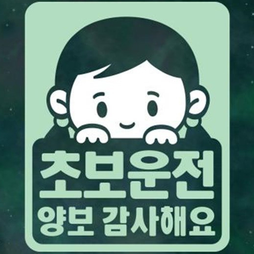 리틀메테오 초보운전 스티커 초보 오드리