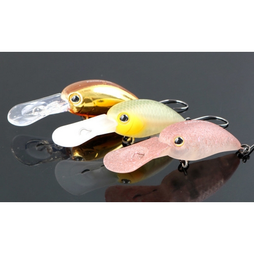 쟈칼 티몬 파니크라 DR