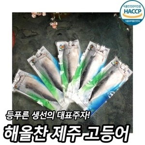 해올찬 제주 고등어살 100g (20개)_이미지