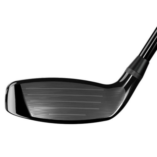 PXG ����Ʈ�� ���̺긮��