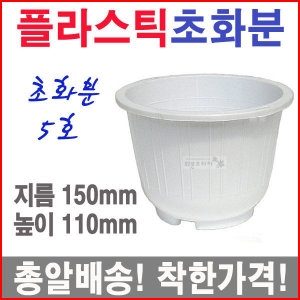 화분프라자 초화분5호/미니소품/소형/씨앗/블루베리/플라스틱화분