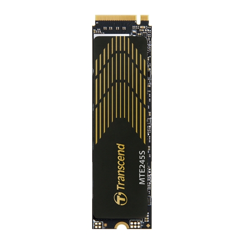Ʈ������ MTE245S M.2 NVMe(250GB)
