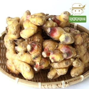 삼촌밥먹자 봉동 햇 생강 1kg
