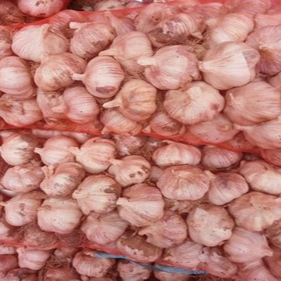 창녕 햇마늘 특대 5kg (1개)_이미지
