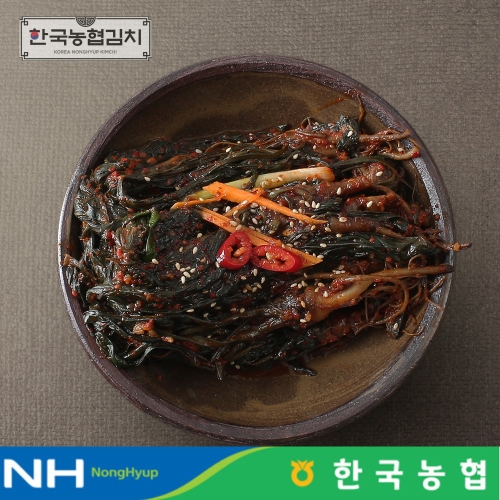 한국농협김치 전라도 순천 남도 고들빼기 3kg_이미지