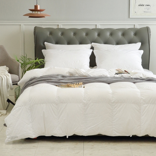 아이리스 카우프만 와이더간스 구스 이불솜 (퀸 Q)_이미지