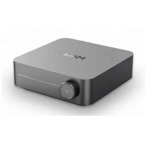 Wiim AMP (해외구매)