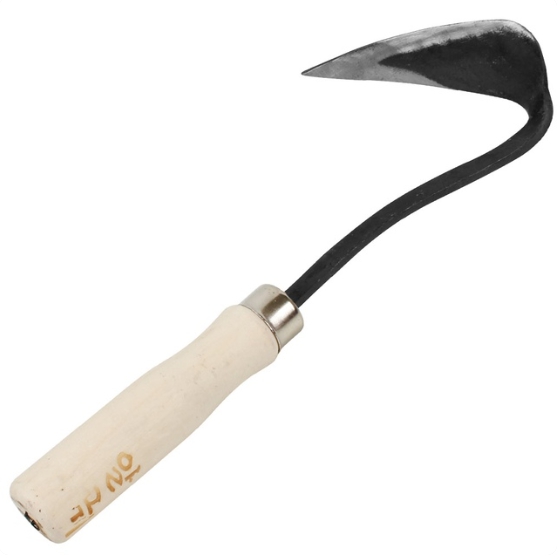 ������Ʈ ��ȣ��