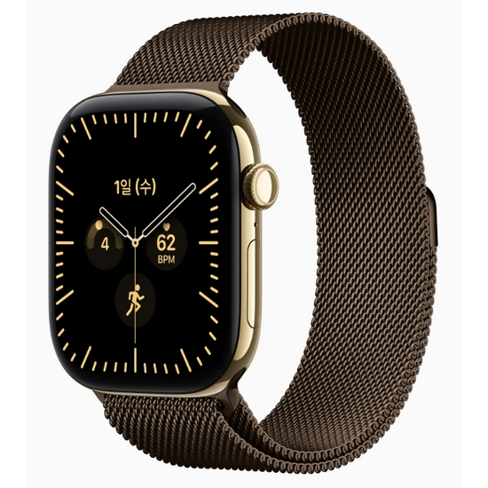 APPLE 워치 시리즈12 46mm Cellular 티타늄 (래디언트골드_밀레니즈루프)
