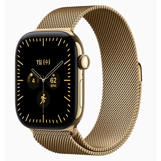 APPLE 워치 시리즈12 46mm Cellular 티타늄 (래디언트골드_밀레니즈루프)_이미지
