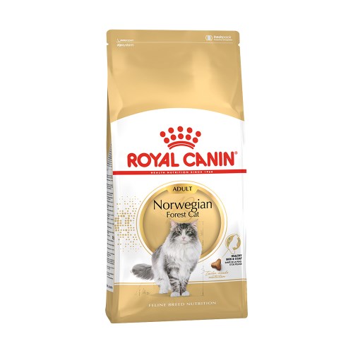 로얄캐닌 캣 노르웨이 숲 어덜트 10kg