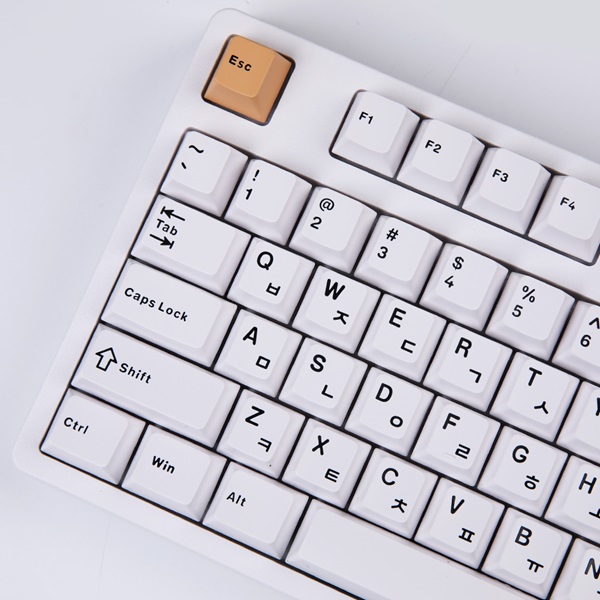 몬스타 가츠 선샤인_이미지