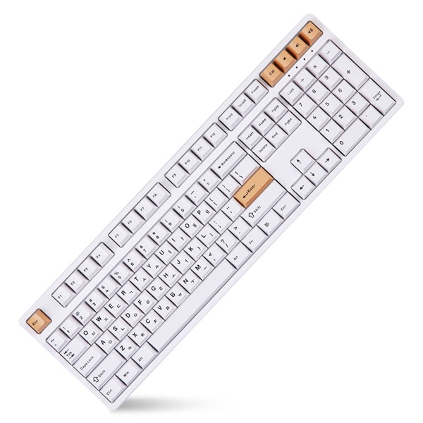 몬스타 가츠 선샤인