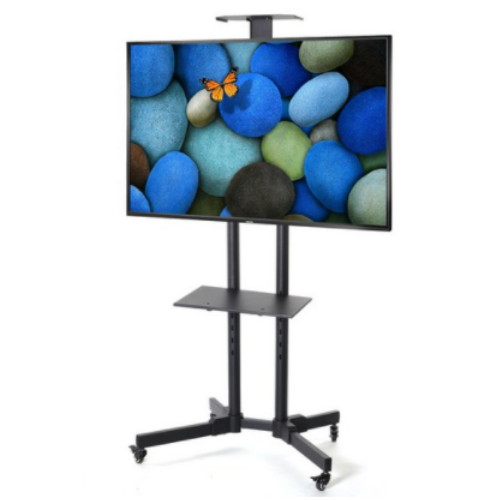 ������Ȱ�ǰ� �̵��� TV���ĵ� �⺻��