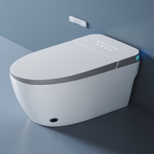홈 스마트 양변기 자동 플립 화장실 폼 쉴드 수압