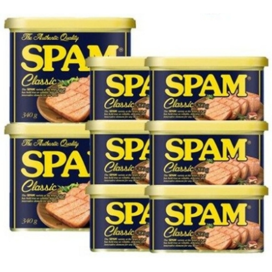CJ제일제당 스팸 클래식 200g 6개 + 스팸 클래식 340g 2개 (1개)_이미지