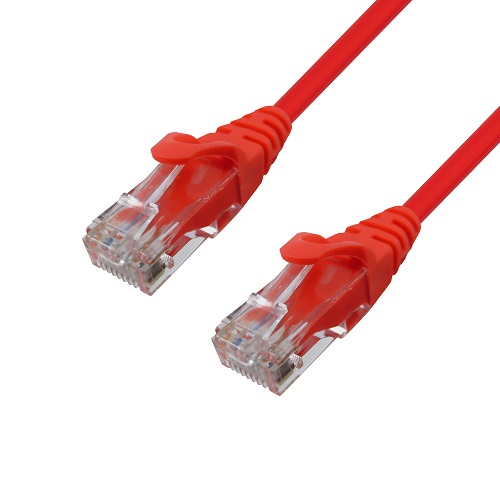 �γ�Ʈ��ũ CAT.6 UTP ���� �����̺� ����