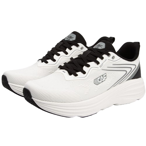 ������ ���� 1A25SR109