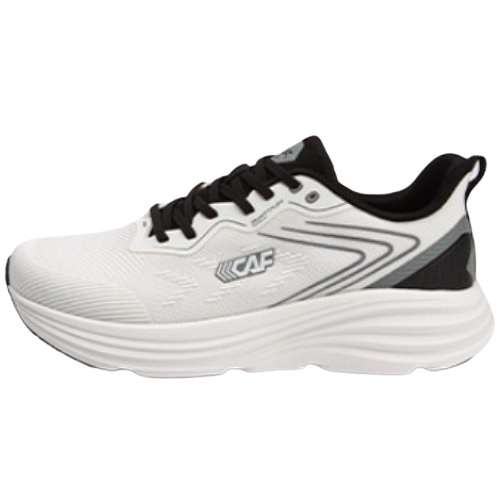 ������ ���� 1A25SR109