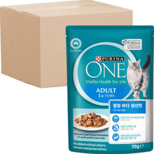 ǻ���� �Կ�(ONE) Ĺ 1���̻� ������ û�� �ٴ� ������ �ֽ� �Ŀ�ġ