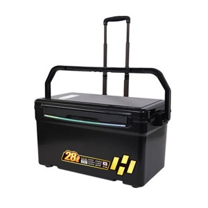 �ص������� HDF ī������ ĳ�� ��