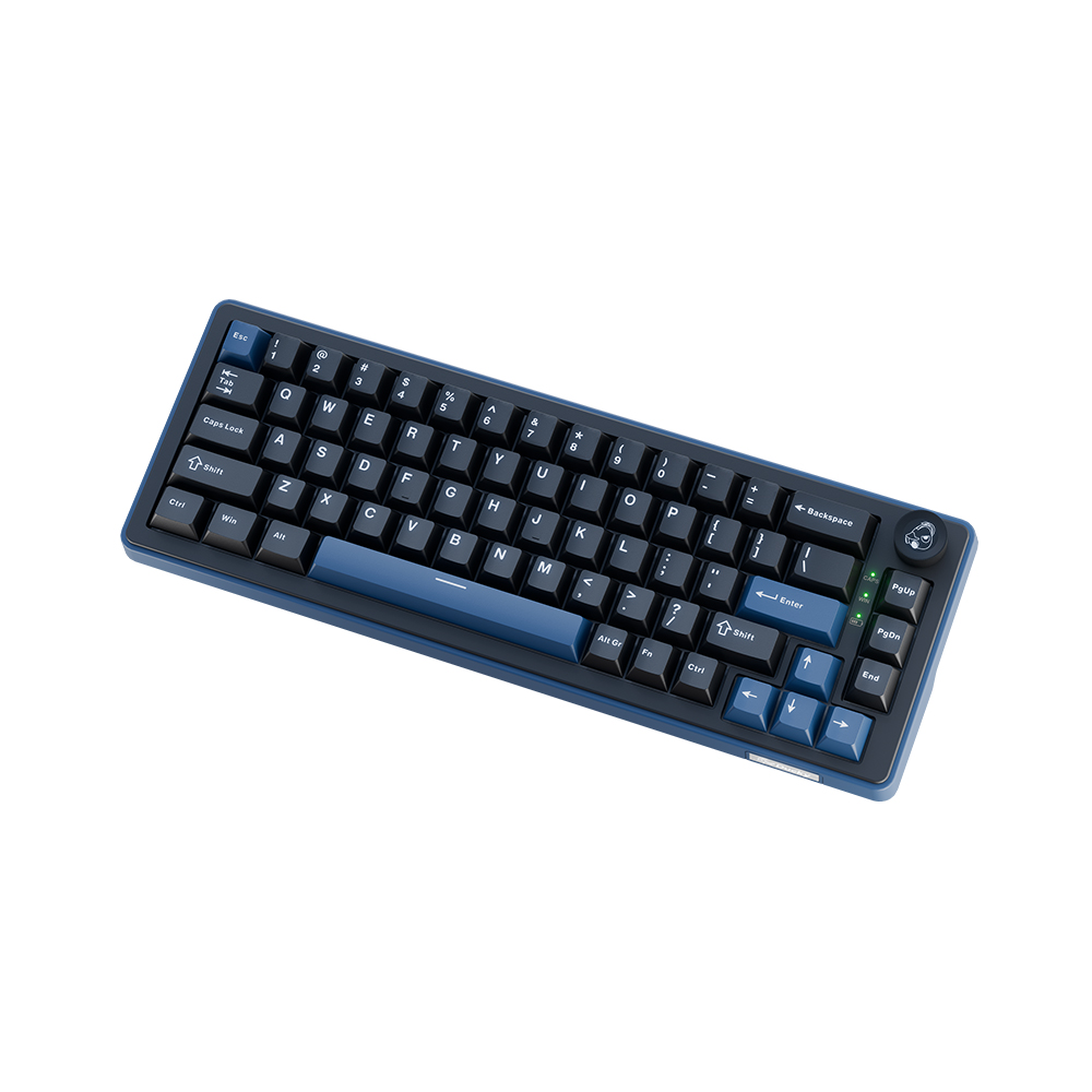 Ducky OK-M 65KE ������ ����