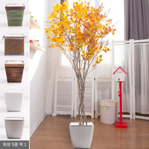 플라워트리 라인-단풍자작나무화분set 240cm  조화  FREOFT 무료이미지입니다. 누르면 해당 게시물로 새창이동합니다.