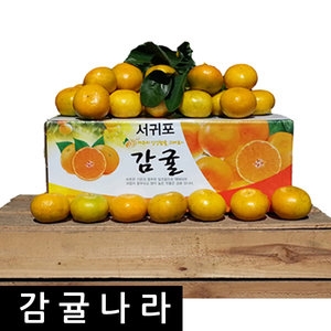노지 감귤 중대과 10kg