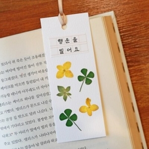 üũ���丮 �ö��� ��ȭå���� ����� DIY��Ʈ