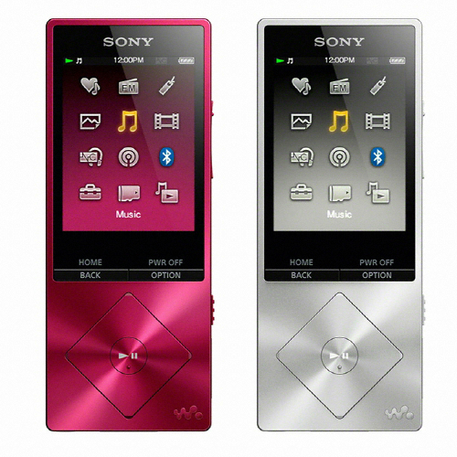 SONY Walkman NW-A25 16GB (정품)