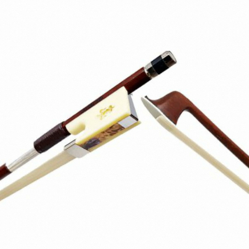 ����ȭ ���̿ø� Ȱ ȭ��Ʈ