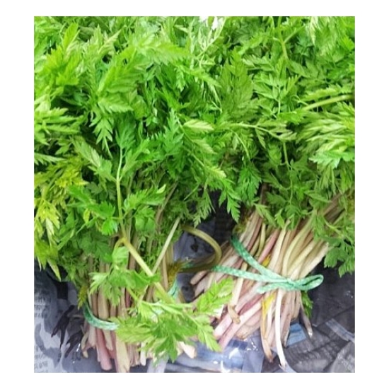 울릉도 전호나물 (3kg)