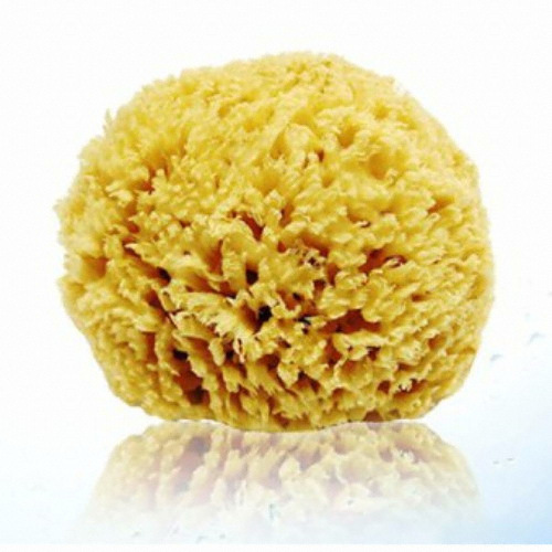 ������ ��õ���ظ� ������ ����� SA10