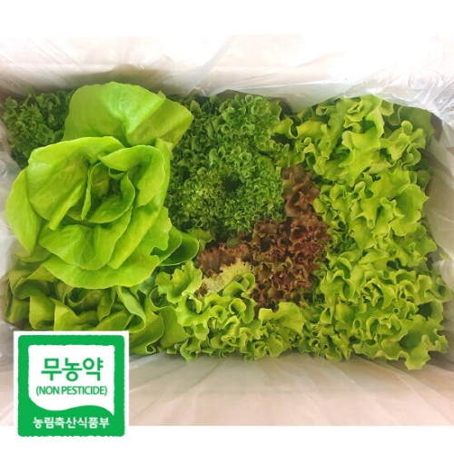 그린스마일 유럽모듬상추 600g
