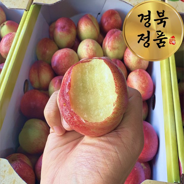 제철삼촌 신비 복숭아 로얄과 22~24과 2kg