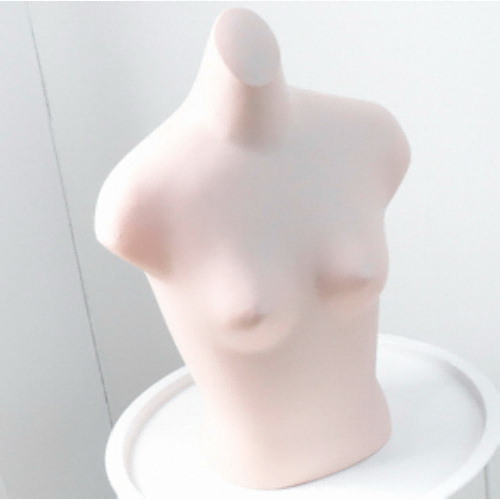 지엔디스플레이 플라스틱 여자마네킹 속옷마네킨 언더웨어행거 란제리거치대