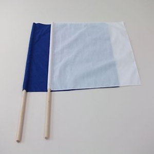 메디사이언스 유성과학  청기  백기  2종 1조  /수업교구/과학기자
