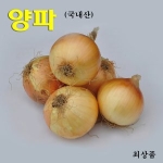  코레마을 저장용 양파 중상 20kg [1개]