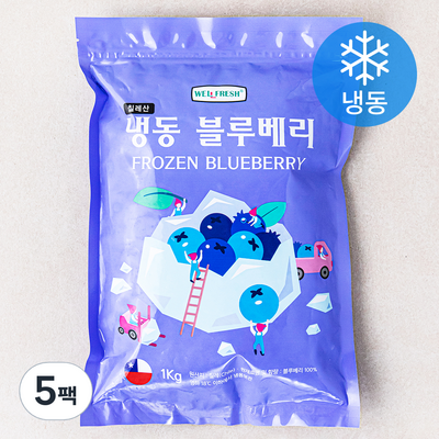 칠레산 블루베리 냉동
