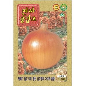 영농사 천하중갑고 양파씨앗 1500립_이미지