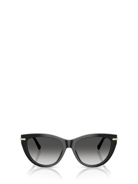 선글라스 TF4253 80013C BLACK