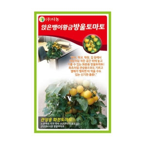 다농 앉은뱅이황금방울토마토씨앗 50립_이미지