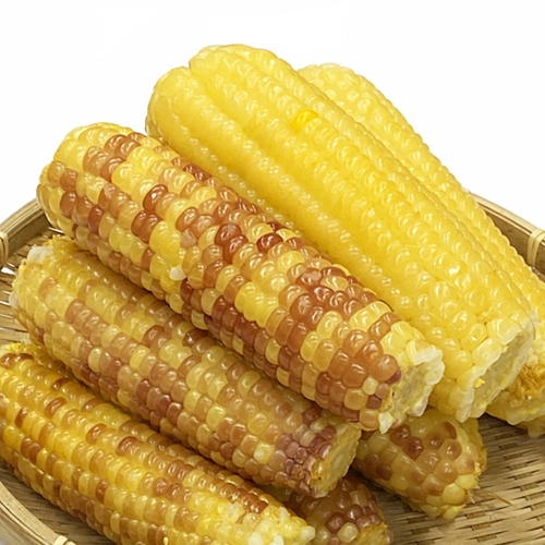 찰옥수수