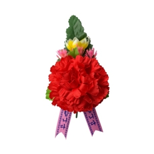 J1 기본형 카네이션