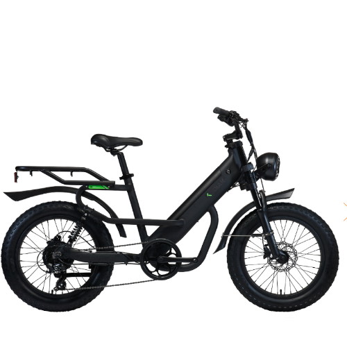 알톤스포츠 코디악 T20 DUAL (2024년형) (48V, 15Ah)_이미지