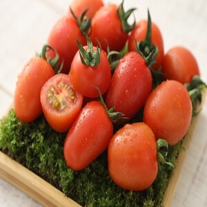 잇츠프레시 감동마토 스테비아 <b>방울</b><b>토마토</b> 500g