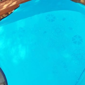  비를 3단우산 피어나는 블루 맞으면 벚꽃이