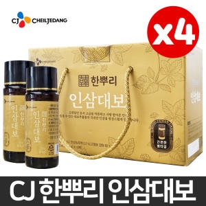 CJ제일제당 한뿌리 인삼대보 100ml (40개)